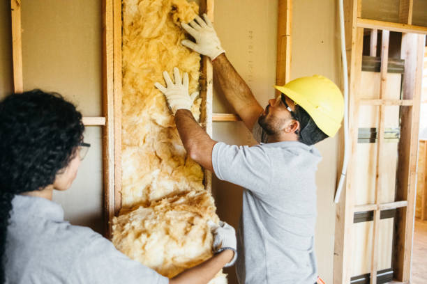 Reliable Luna Pier, MI Insulation Contractor Solutions