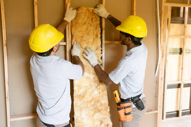 Best Local Insulation Services  in Luna Pier, MI
